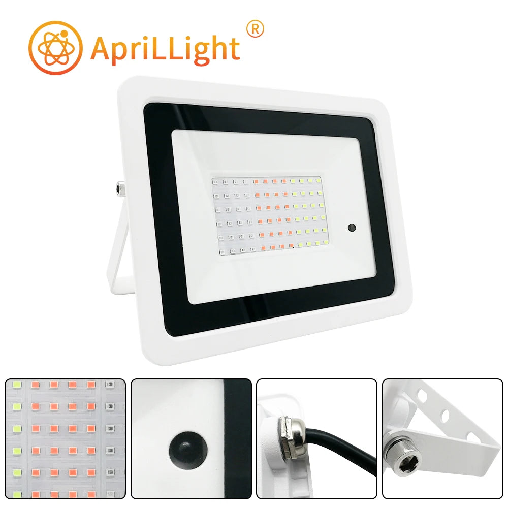 LED RGB Outdoor Floodlight