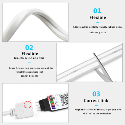 RGB Neon LED Strip Lights With Remote